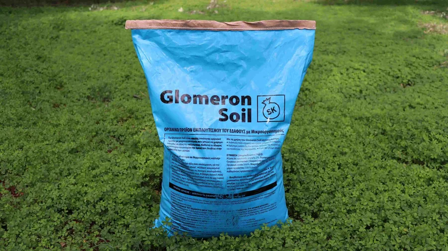 Glomeron Soil